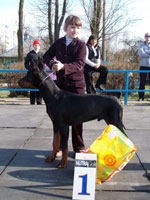 SJ Orlando in competition Child and dog