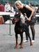 10 months, BOB, Best junior on CACIB show 