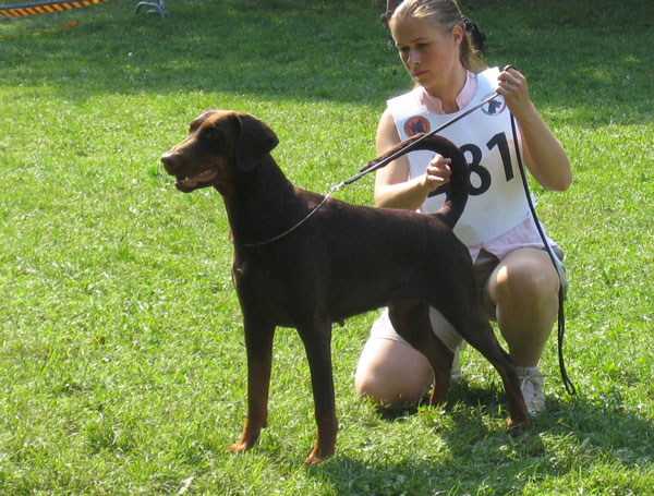 Kriegerhof_Khloe-Kalina