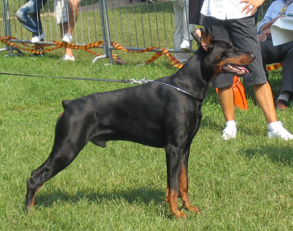 Tahi-Reme_Napoleon1