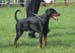Rondo_Valdez_v_Resid